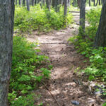 Hiking near Flathead Lake