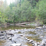Hiking Trails in Montana