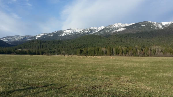 Go Hike With Mike Trail Guide