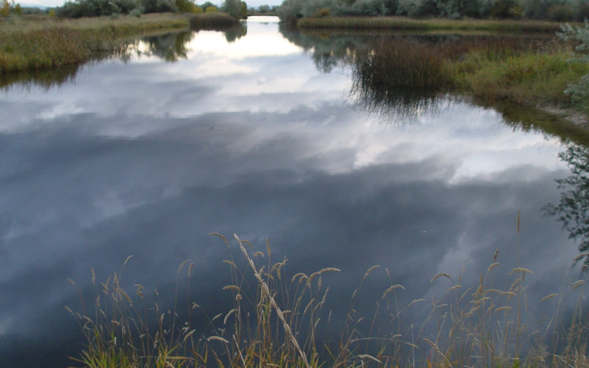 Reflections in the water