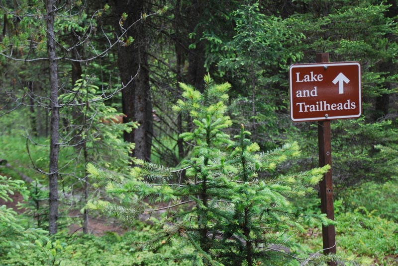Flathead Lake Trail Heads