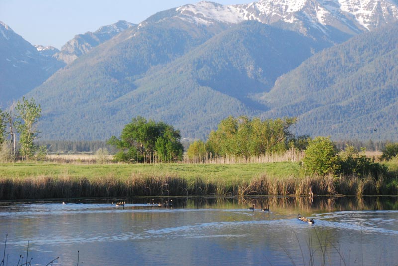 Ninepipes Wildlife Refuge