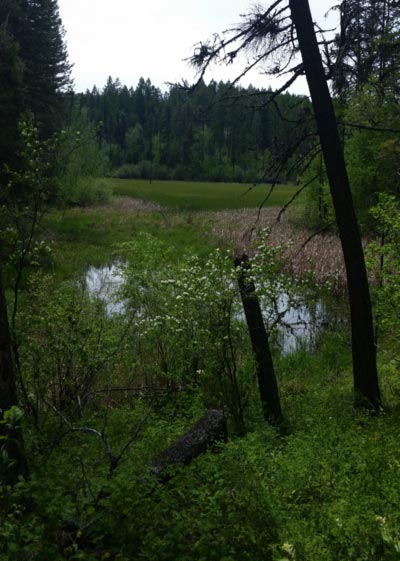Hiking in Montana