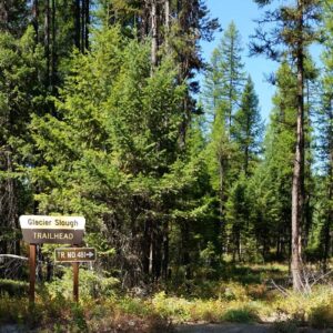 Hiking in northwest Montana