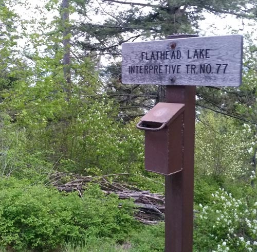 Flathead Lake