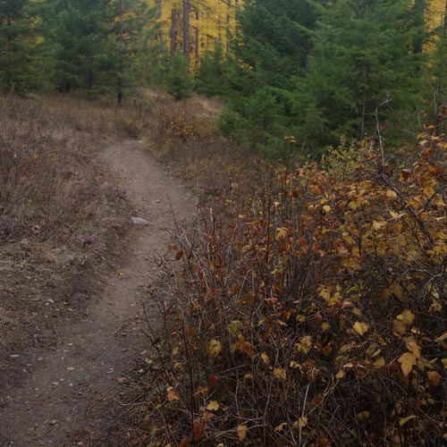 Trails around Flathead Lake