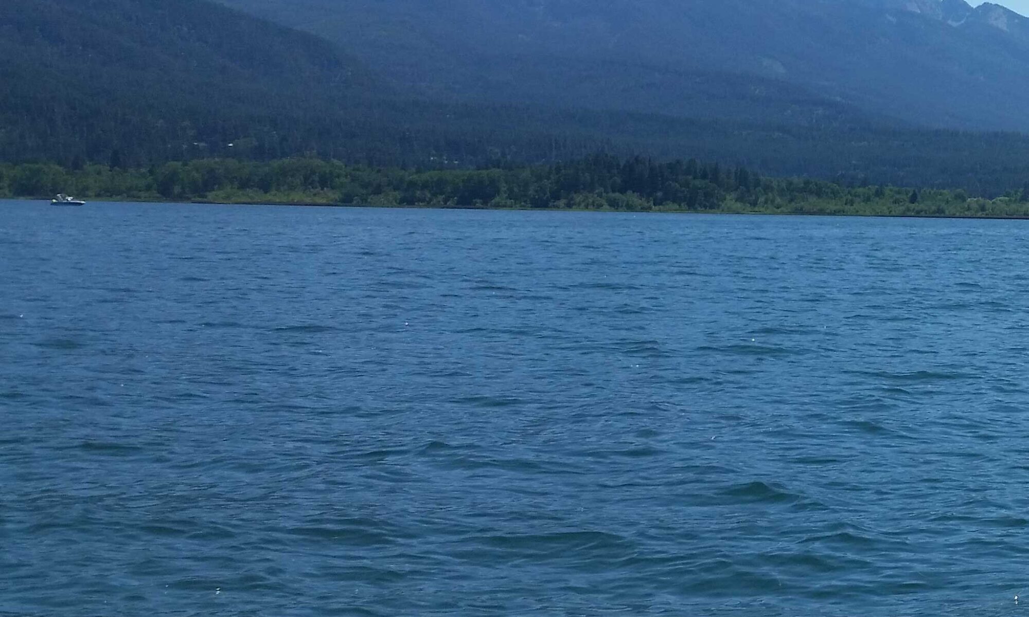 The blue waters of Flathead Lake.