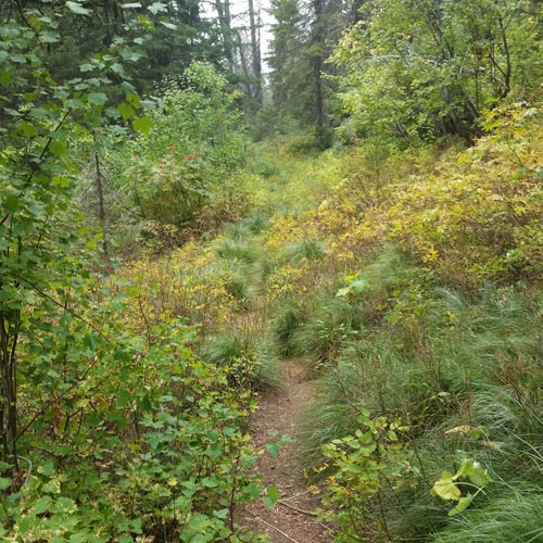 Hiking around Flathead Lake